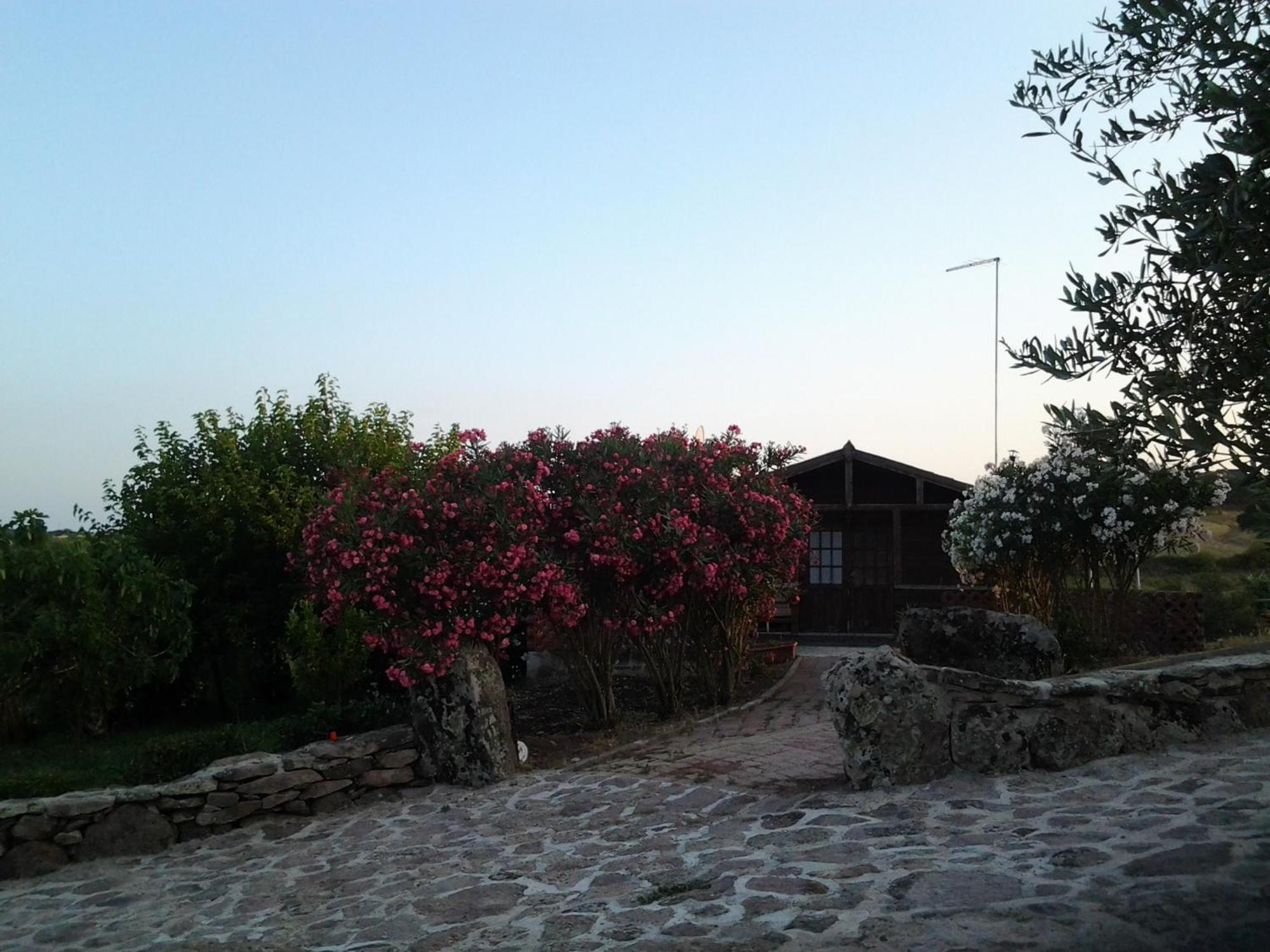 Agriturismo Su Recreu Ittiri 客房 照片