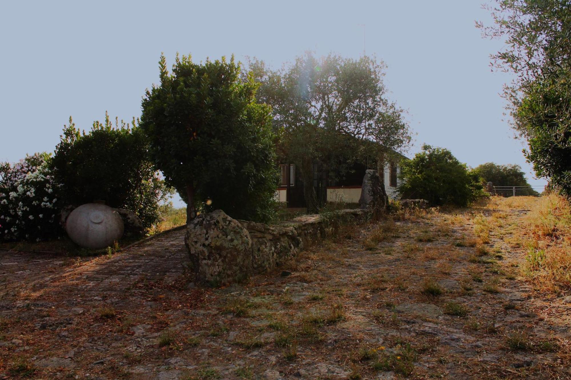 Agriturismo Su Recreu Ittiri 外观 照片