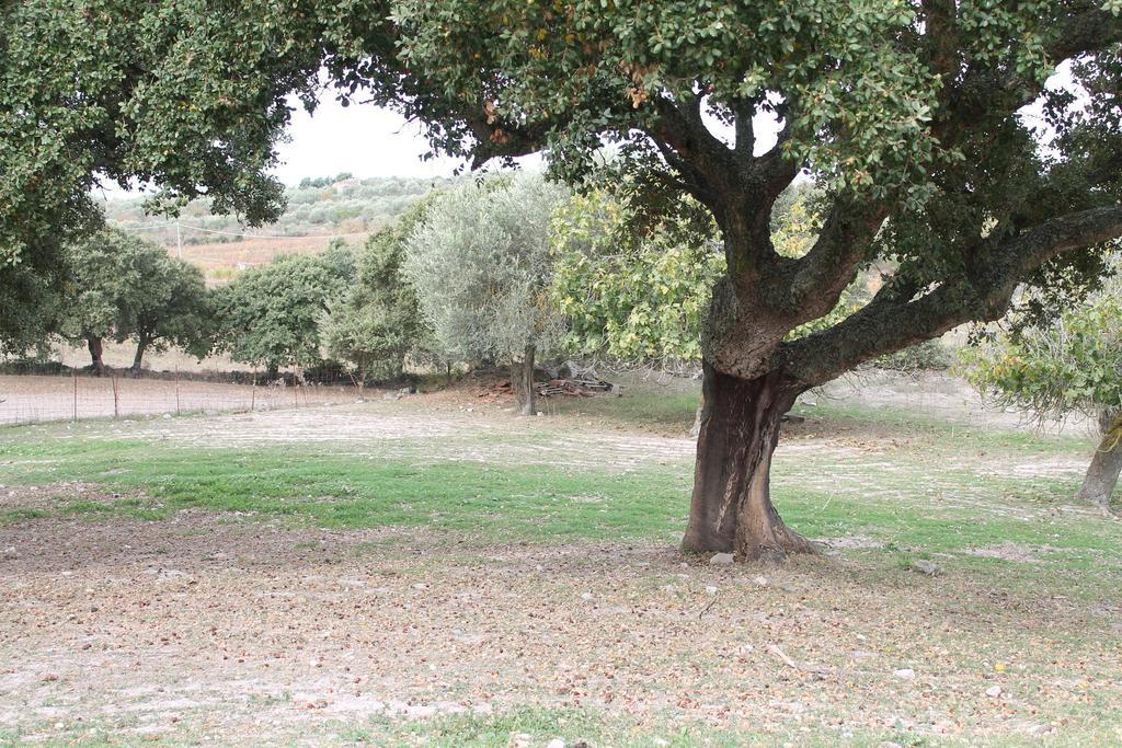 Agriturismo Su Recreu Ittiri 外观 照片