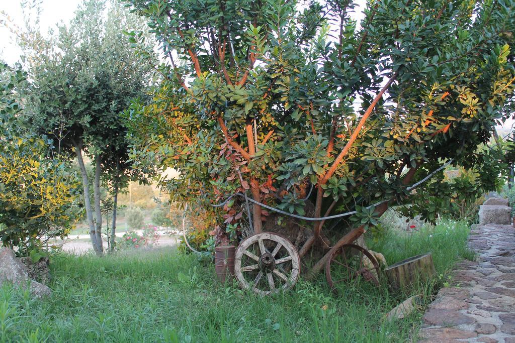 Agriturismo Su Recreu Ittiri 外观 照片