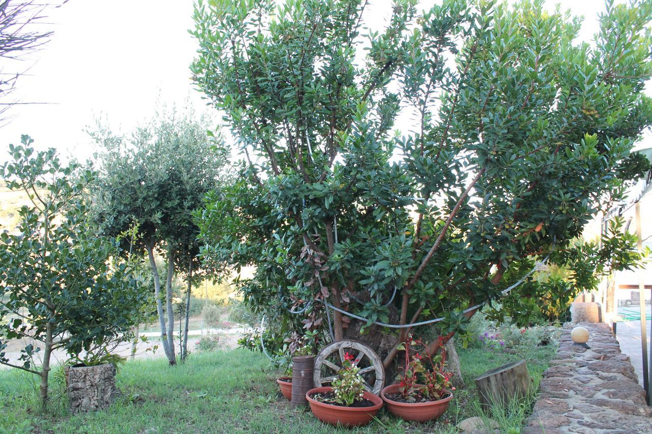 Agriturismo Su Recreu Ittiri 外观 照片