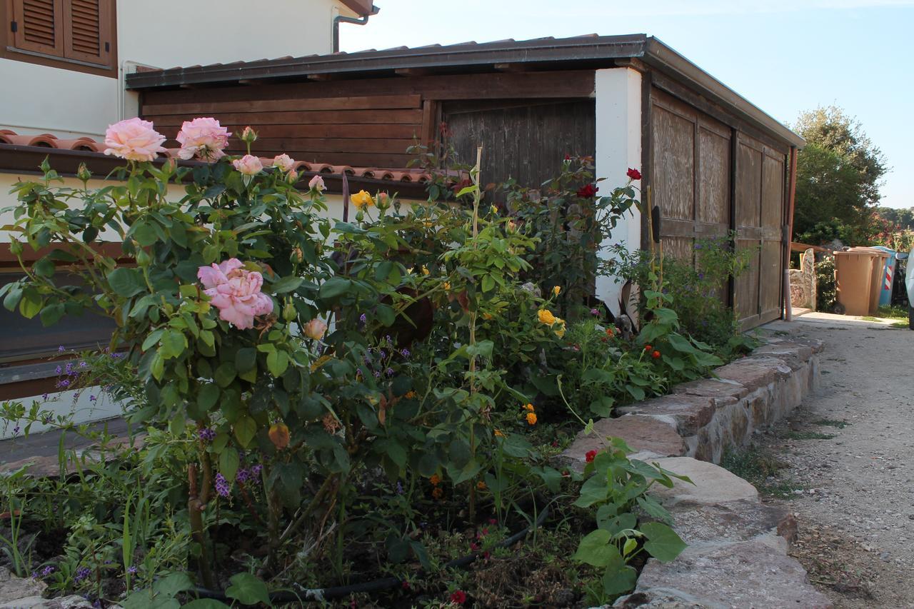 Agriturismo Su Recreu Ittiri 外观 照片