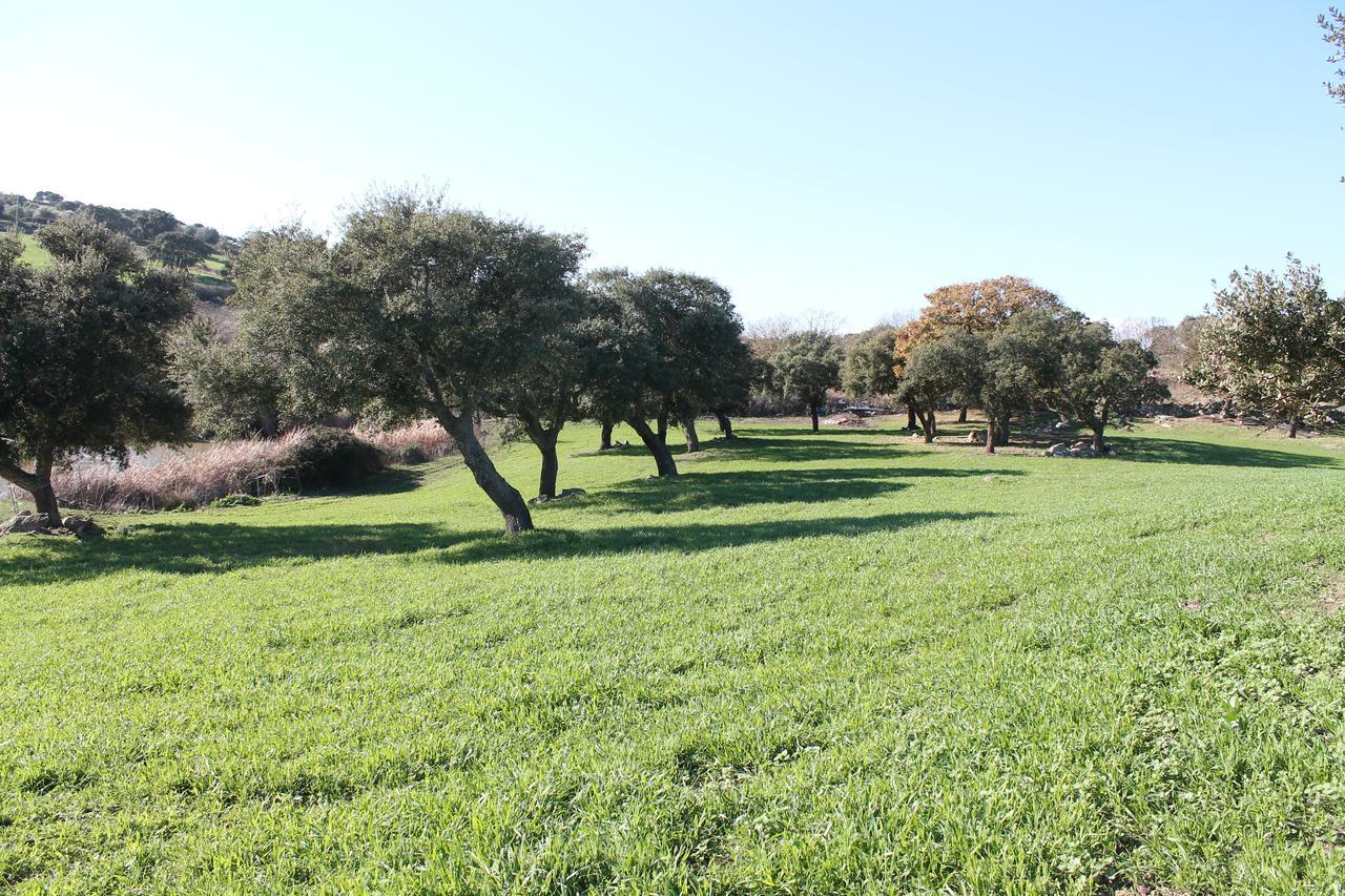 Agriturismo Su Recreu Ittiri 外观 照片